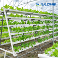 polycarbonate greenhouse with nft hydroponic growing system